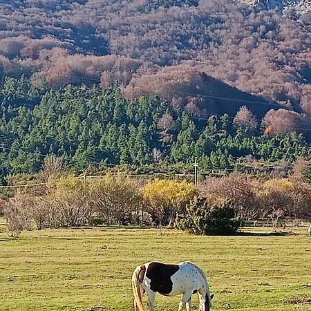 Apartment Fiocco Di Neve, Magnola Ovindoli