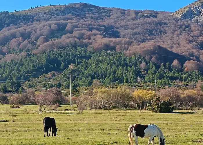 Fiocco Di Neve, Magnola Appartamento *